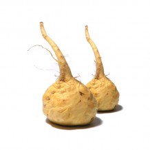 Maca